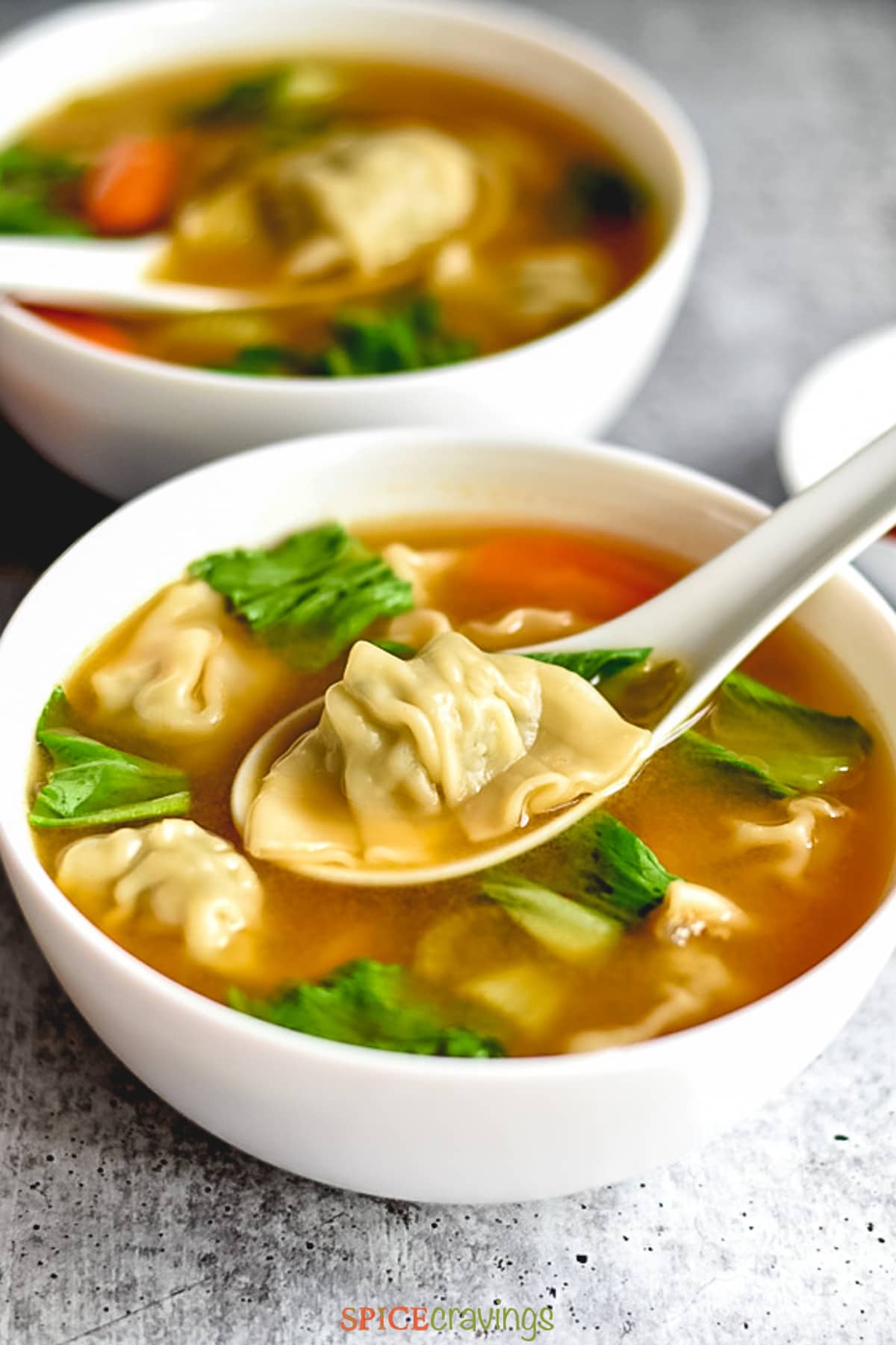 Wonton Soup