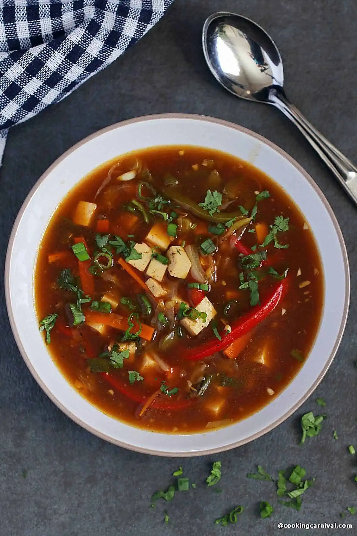 Vegetable Hot & Sour Soup